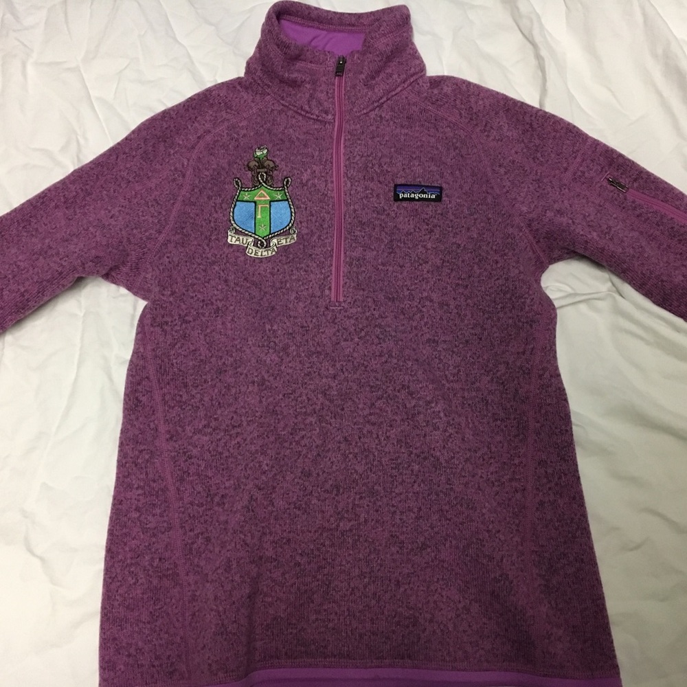 Delta Gamma Patagonia Pullover (S)